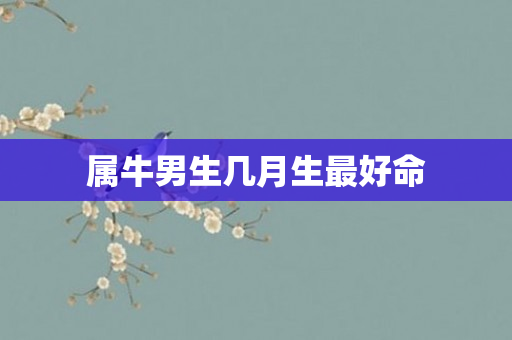 属牛男生几月生更好命