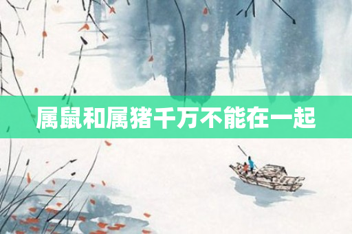 属鼠和属猪千万不能在一起