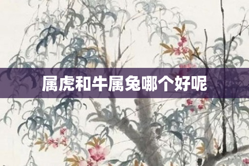 属虎和牛属兔哪个好呢