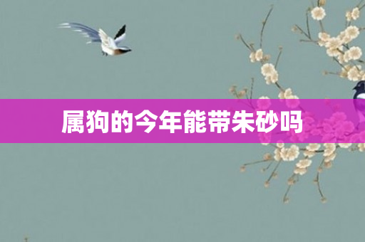 属狗的今年能带朱砂吗