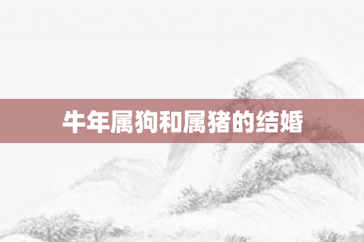 牛年属狗和属猪的结婚