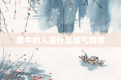 属牛的人是什么运气啊呢