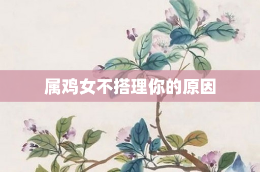 属鸡女不搭理你的原因