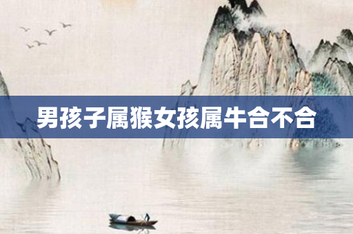 男孩子属猴女孩属牛合不合