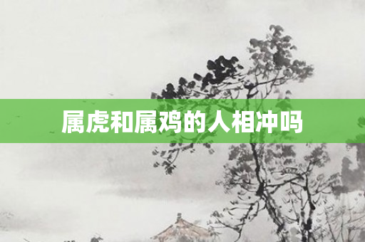 属虎和属鸡的人相冲吗
