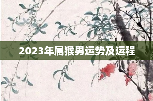 2023年属猴男运势及运程