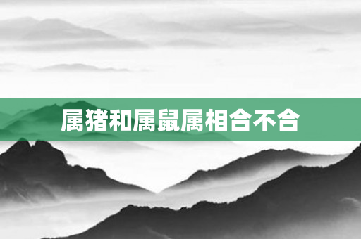 属猪和属鼠属相合不合