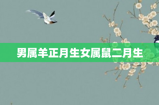 男属羊正月生女属鼠二月生