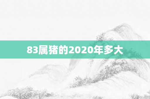 83属猪的2020年多大
