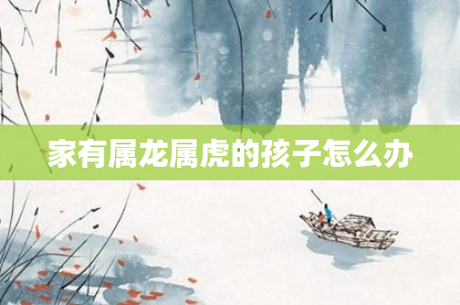 家有属龙属虎的孩子怎么办