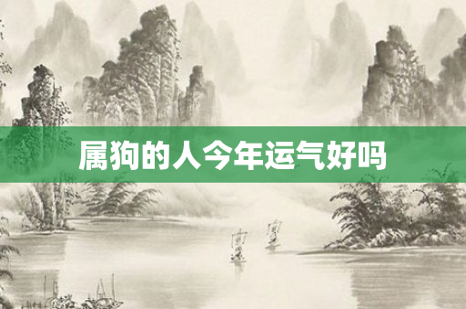 属狗的人今年运气好吗
