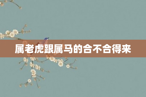 属老虎跟属马的合不合得来