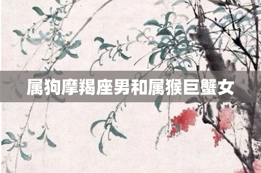 属狗摩羯座男和属猴巨蟹女
