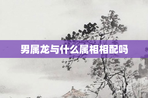 男属龙与什么属相相配吗