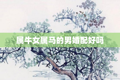 属牛女属马的男婚配好吗