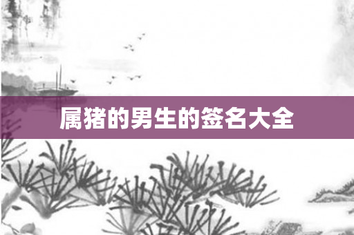属猪的男生的签名大全