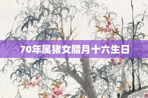 70年属猪女腊月十六生日