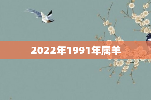 2022年1991年属羊