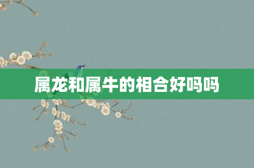 属龙和属牛的相合好吗吗