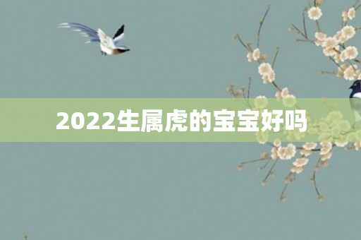 2022生属虎的宝宝好吗