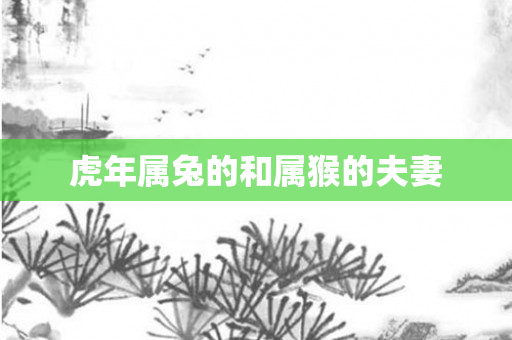 虎年属兔的和属猴的夫妻