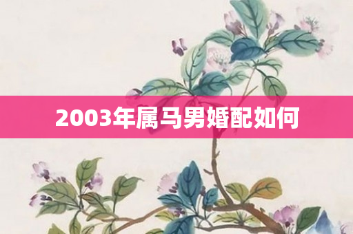 2003年属马男婚配如何