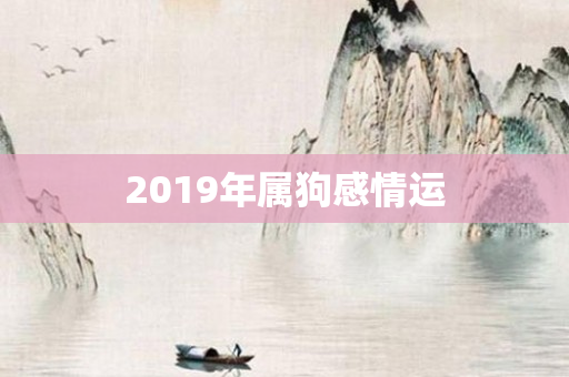 2019年属狗感情运