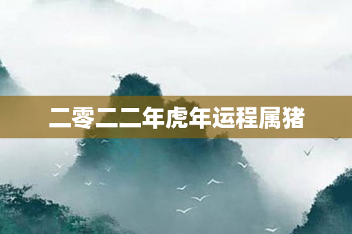 二零二二年虎年运程属猪