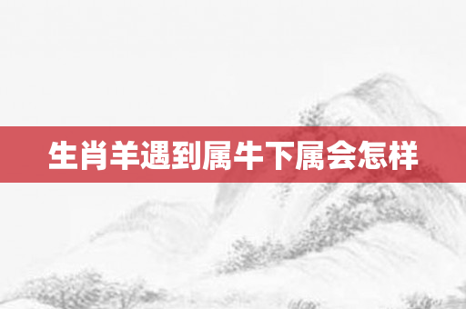 生肖羊遇到属牛下属会怎样