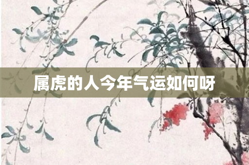 属虎的人今年气运如何呀