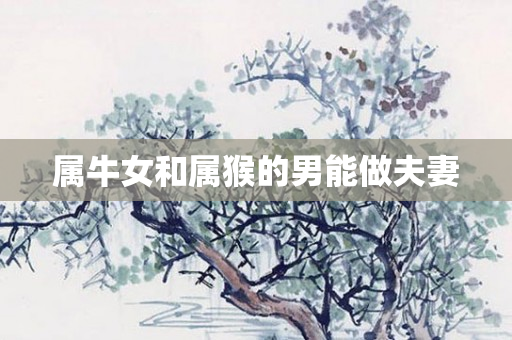 属牛女和属猴的男能做夫妻