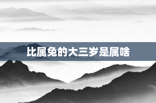 比属兔的大三岁是属啥