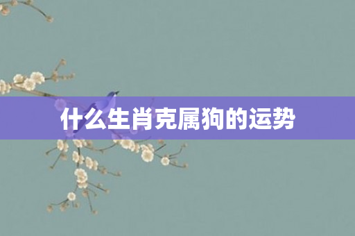 什么生肖克属狗的运势