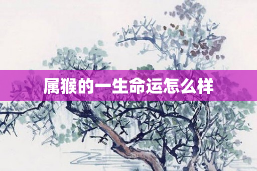 属猴的一生命运怎么样