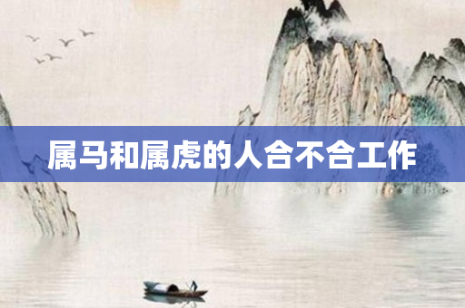 属马和属虎的人合不合工作