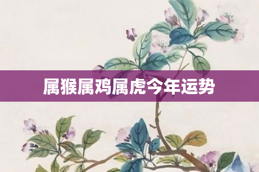 属猴属鸡属虎今年运势