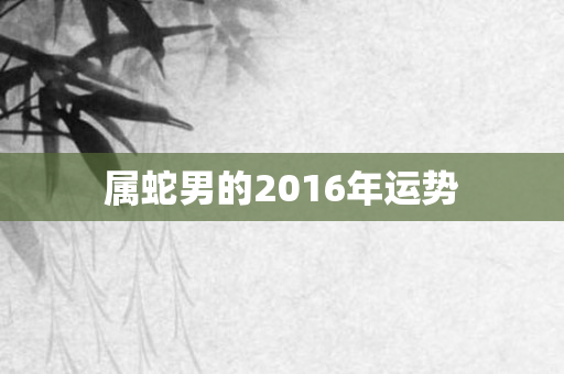 属蛇男的2016年运势