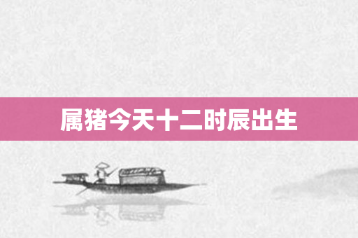 属猪今天十二时辰出生