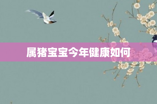 属猪宝宝今年健康如何