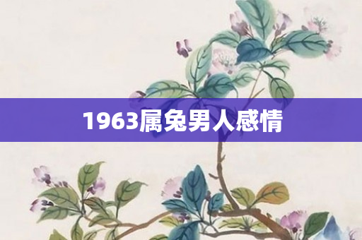1963属兔男人感情