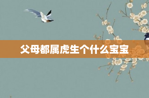 父母都属虎生个什么宝宝