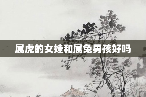 属虎的女娃和属兔男孩好吗