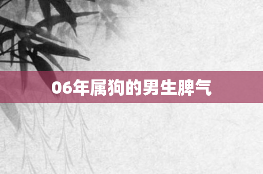 06年属狗的男生脾气