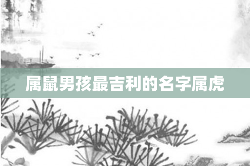 属鼠男孩最吉利的名字属虎