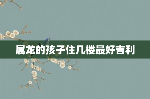属龙的孩子住几楼更好吉利