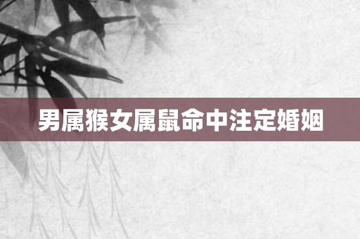 男属猴女属鼠命中注定婚姻