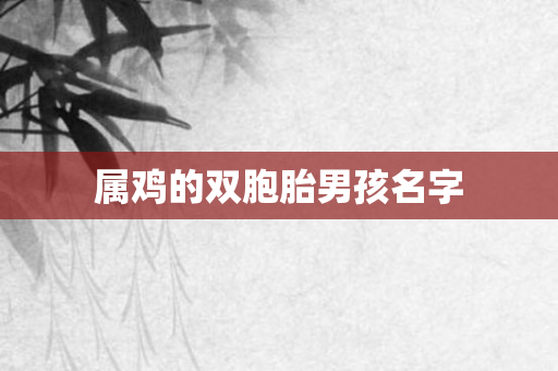 属鸡的双胞胎男孩名字