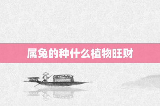 属兔的种什么植物旺财