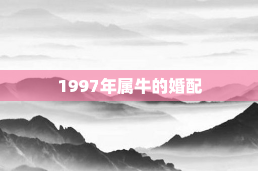 1997年属牛的婚配