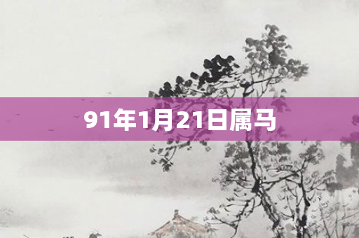 91年1月21日属马